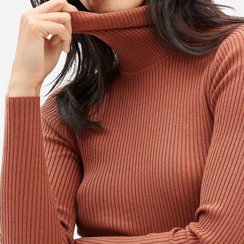 Everlane The Italian Merino Rib Turtleneck